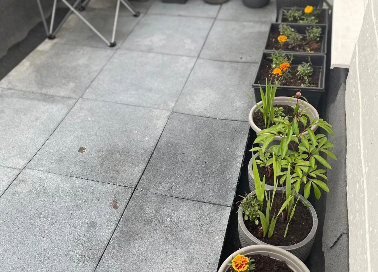 צ'סטר Jeans Place Watergate St Rows Near Racecourse 0*,